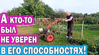 💥ДОРАБОТКА ЦЕЛИНЫ. ⚠️ОЧЕНЬ ОПАСНАЯ⚠️ КУЛЬТИВАЦИЯ ПОЧВЫ! VERY DANGEROUS 非常危險