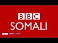 TOOS: Idaacadda Galabnimo ee BBC Somali