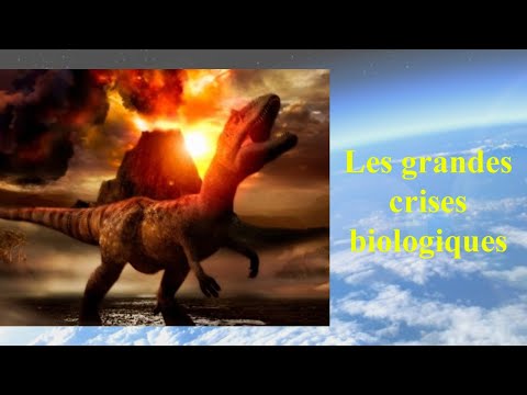 Vidéo: Les 5 Plus Grandes Crises Auxquelles Nos Océans Sont Confrontés Aujourd'hui (et Pourquoi Vous Devriez Vous En Soucier) - Réseau Matador