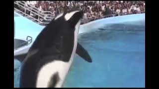 Yaka And Vigga Performing