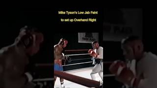 Mike Tyson Knockout #boxing #miketyson #combatsports #boxingtraining #boxingworkout #boxingdrills