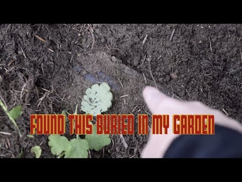 what i found buried in my garden was shocking