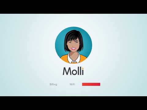 Meet Molli! An Overview.