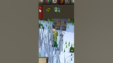 The book bug in Runescape  #osrs #glitch #runescape #gaming