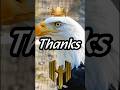 Respect Eagle 🦅#eagle #respect #respectshorts
