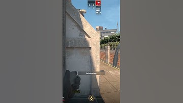 GREAT MOLLY FOR TRASHCAN ON OVERPASS!  #cs2 #cs #overpass