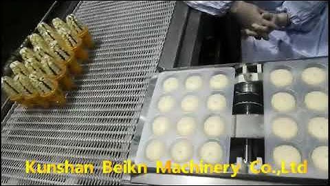 mochi ice cream making machine/encrusting and aligning machine