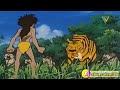 ابو سالم / ماوكلي 😹
