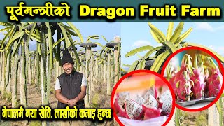 पूर्वमन्त्री Lokendra Bist Magar को Dragon Fruit Farm, खेती गर्ने तरिका, Farming Full Information