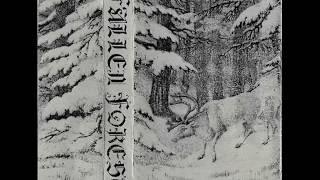 Fallen Forest : Demo I (Full Demo)