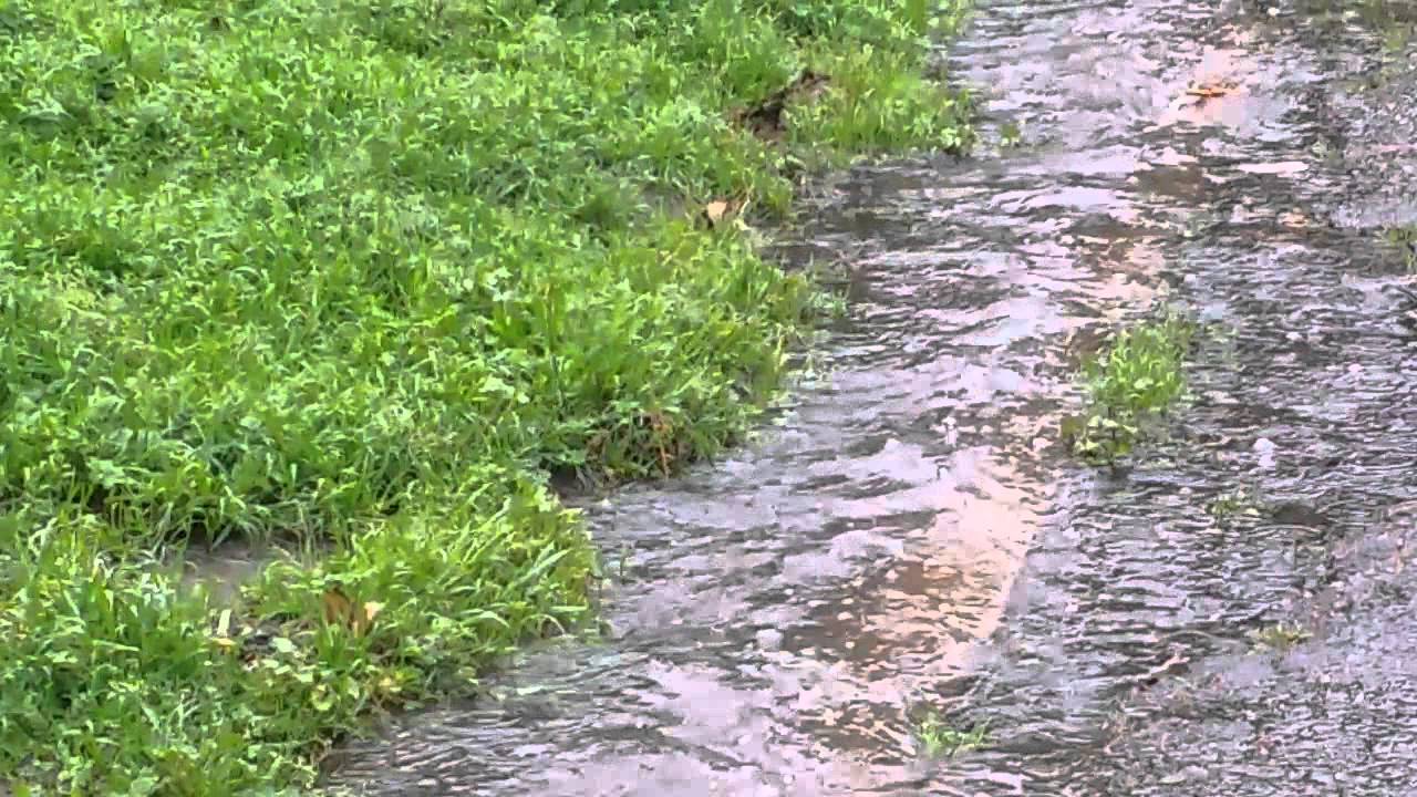 raining-in-san-francisco-youtube