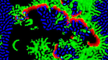 Multiple Neighborhoods Cellular Automata