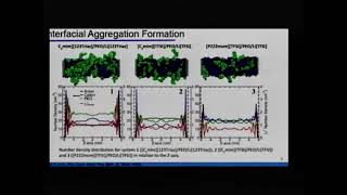 IV CINE-CMSC: "Molecular Dynamics Simulations of Ternary ...", by Tuanan C. Lourenço, IQSC/USP