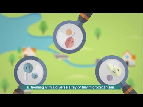 Видео: Эффективные микроорганизмы