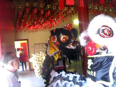 yun yee tong lion dance temple performance