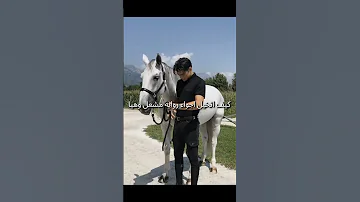 رون تقول انو رواية مشعل وهيا اجمل من رواية شموخ وريان رون هيا مشعل العائله 