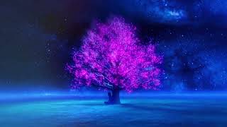 DIM CORNERS OF THE DAY #music #love #youtube #peace #instagram #viral