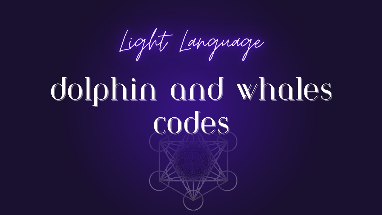 Dolphin and Whales codes - Light Language - YouTube