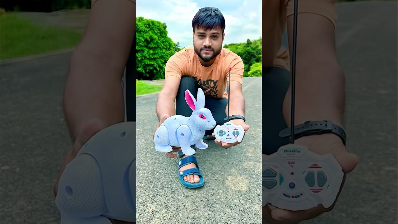 RC Rabbit🐇 and RC Lion🦁 unboxing