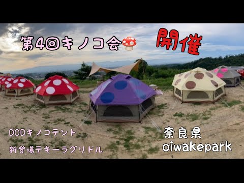 【50代からのソロキャンプ】OIWAKE PARKキャンプ場 第4回キノコ会開催