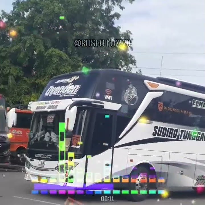 Pesona  Bus OVENDEN & Pramugari STJ 🧕🚍🔽🔝 Kak IFA MOWGLI Story WA