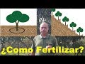 Como fertilizar el 3er video del Curso de Fertilización en Frutales