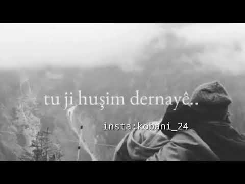 Tu ji bîra min dernayê{♡}