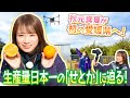 愛媛県が生産量日本一の「せとか」を秋元真夏が収穫!適期防除用の大型ドローンも見せていただきました!