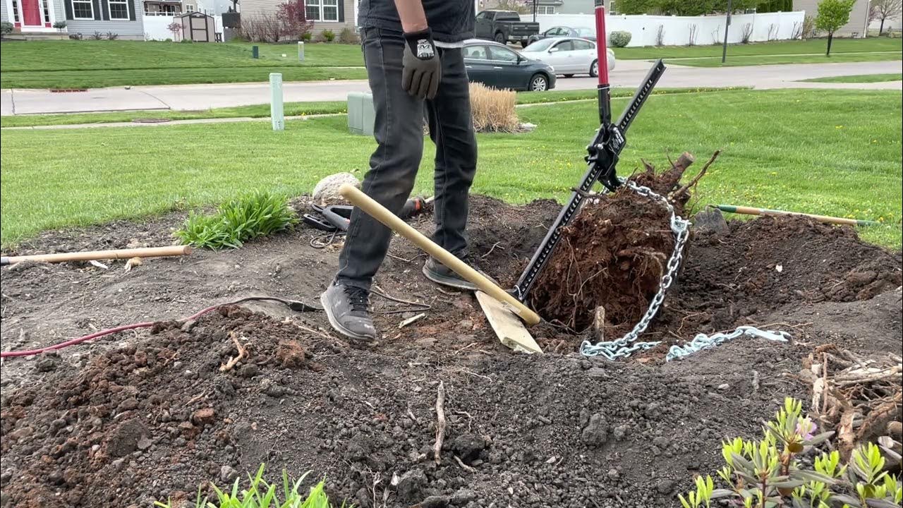Removing tree stumps using harbour freight farm jack YouTube
