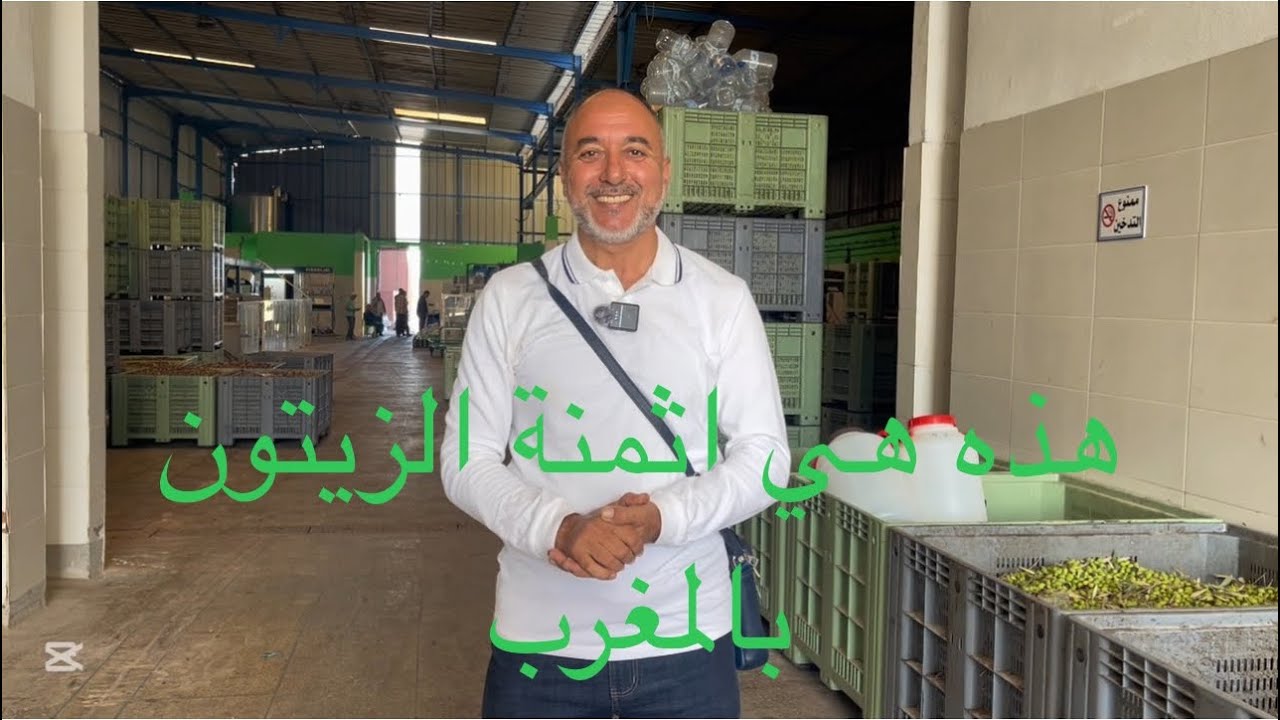 معاصر الزيتون تشرع في الطحن بالمغرب وثمن الزيتون يشهد انخفاضا كبيرا هذا الموسم