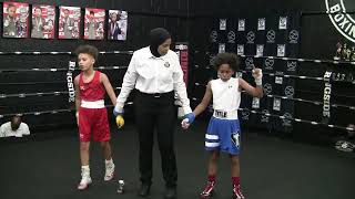 Silver Gloves Championship Rounds 2023