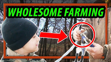 Making Maple Syrup the Time Honored Way