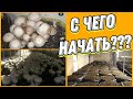 Грибной бизнес. Можно ли начать Выращивать шампиньоны с нуля ?бизнес с минимальными вложениями?