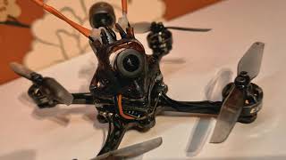 3''  ULTIMATE DJI Toothpick/ Naked Caddx Nebula Pro Vista/ FPV Drone!