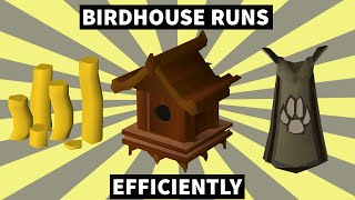 OSRS - How To Do Birdhouse Runs Efficiently - Everything You Need To Know - BIRDHOUSE GUIDE