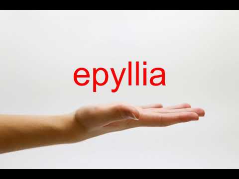 How to Pronounce epyllia - American English