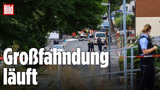Download Lagu Schüsse in Menden! Ein Toter, Täter auf der Flucht MP3 Download Lagu Schüsse in Menden! Ein Toter, Täter auf der Flucht MP3