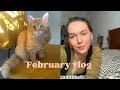 February vlog 😻