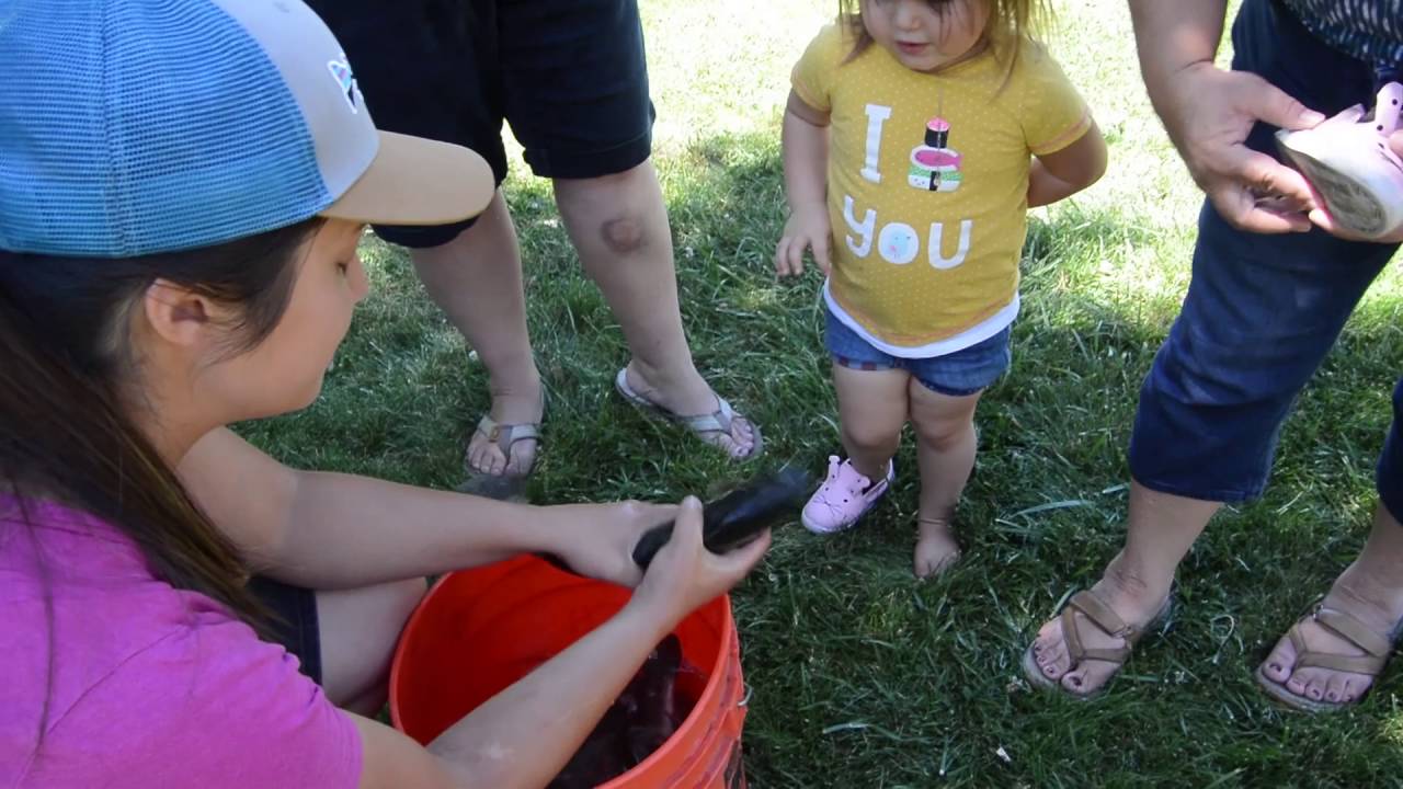 Cold Spring Trout Farm in North Ogden