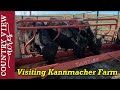 Visiting Kannmacher Farm.  Learning more about raising cattle.