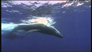 Debussy - Reflections On The Water