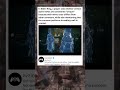 An Elden Ring player’s “unique Spirit Ashes mystery” has fans 😳⚔️ goes viral 🔥 #EldenRing