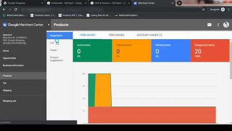Opencart Google Shopping  API Configuration Guide