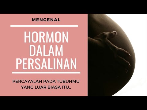 Video: Apa saja hormon yang disekresikan oleh plasenta dan apa perannya?