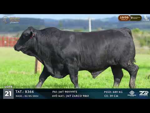LOTE 021