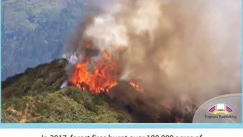 Action 10 Module 2 NATURAL DISASTERS