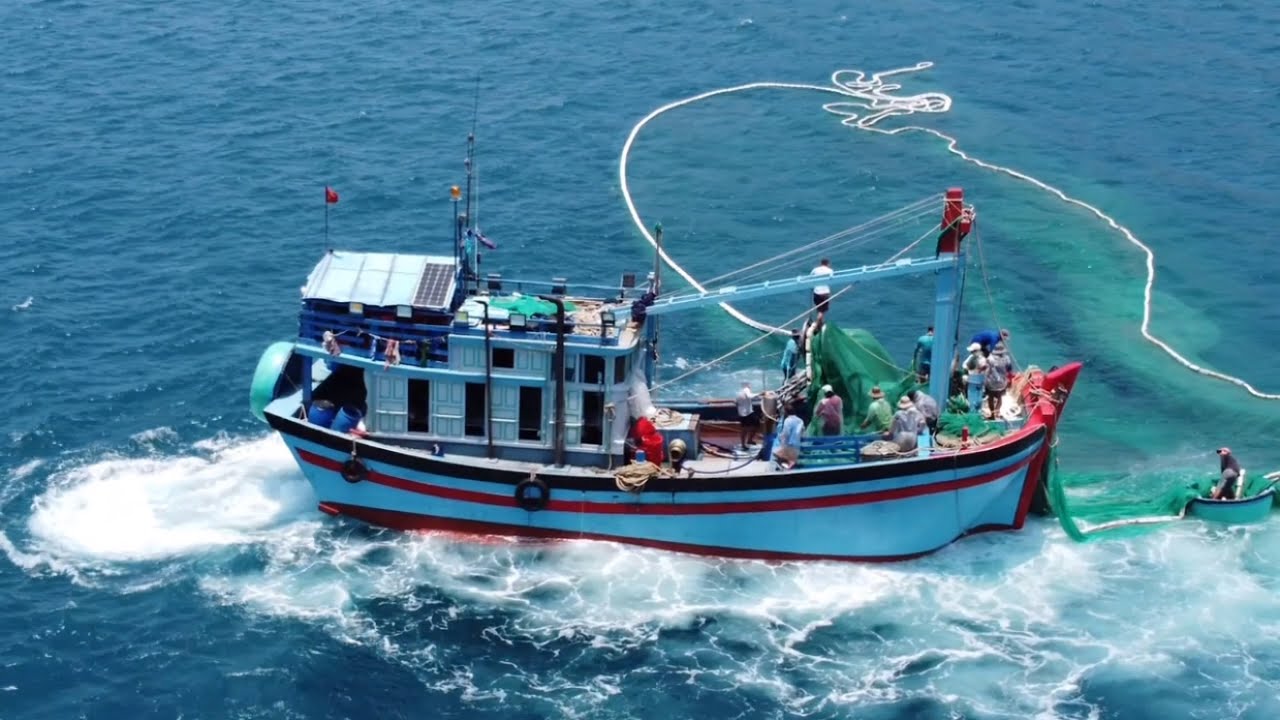 Trủ Bao Đánh Lưới Sát Chân Cơ, Vô Cùng Hấp Dẫn