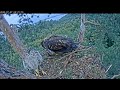 7.07.2025 Камычи. Завтрак прибыл.