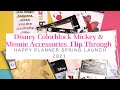 Disney Colorblock Mickey & Minnie Accessories Flip Through | The Happy Planner Spring