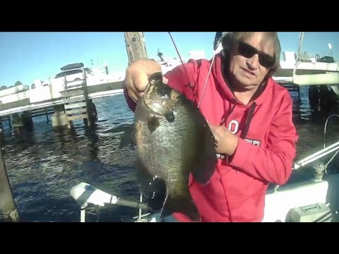 FAKE BAIT WILL IT CATCH FISH WATCH AND SEE IN HD